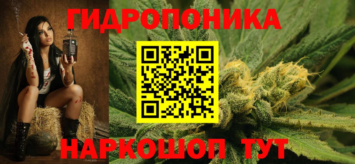 Конопля планчик Прокопьевск